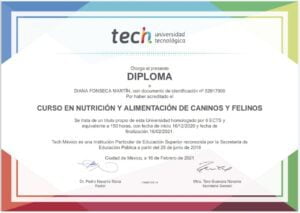 Certificado Diana Fonseca