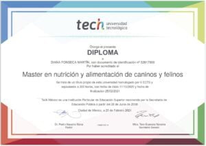 Certificado Diana Fonseca
