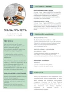 Curriculum Diana Fonseca