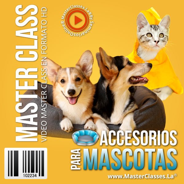 ➤ Accesorios para Perros 🐶