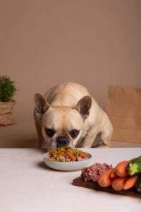 Descubriendo los Beneficios de una Dieta Natural para Perros y Gatos