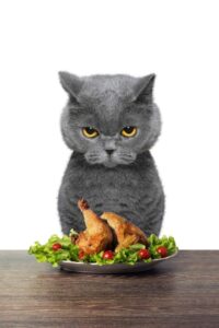 Recetas Caseras para Mascotas