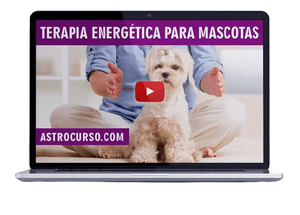Curso Terapia Energética 1
