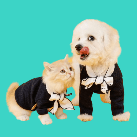 Cursos Accesorios Mascotas-1 Cursos Accesorios Mascotas-1