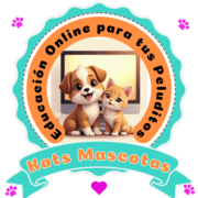 Kats Mascotas-PNG Kats Mascotas-PNG