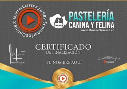 Certificado Curso Pastelería Canina y Felina