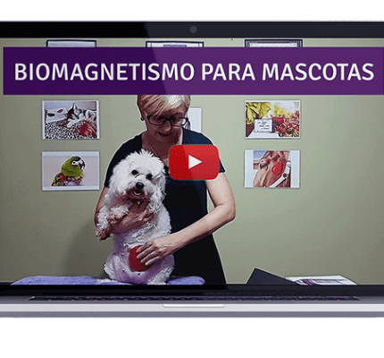 Magnetoterapia para Mascotas