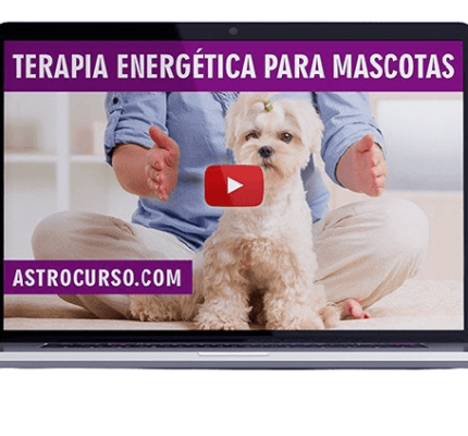 Curso Terapia Energética 1