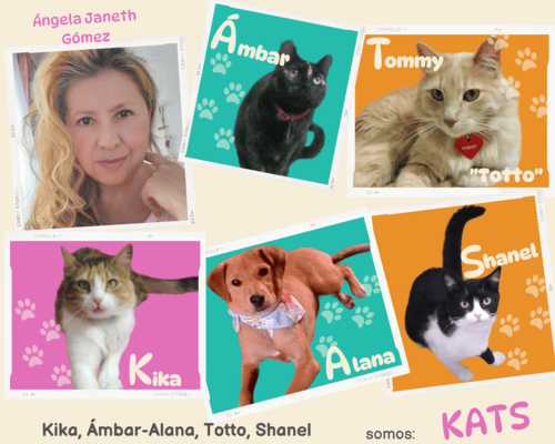 Kats Mascotas Quiénes Somos