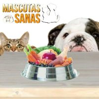 Curso Online Mascotas Sanas