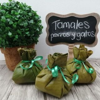 Módulos del curso de pastelería canina y felina para principiantes