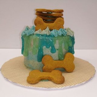 Módulos del curso de pastelería canina y felina para principiantes