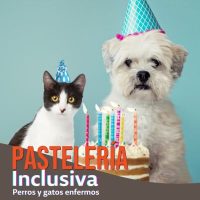 Curso Pastelería Inclusiva