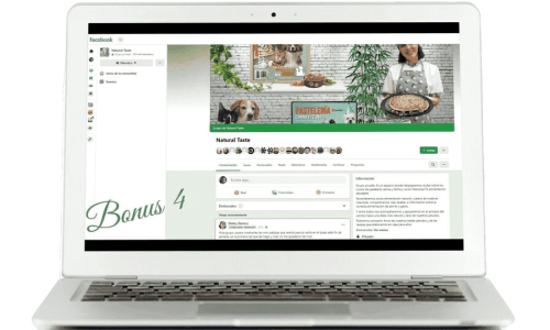 Curso Online Mascotas Sanas