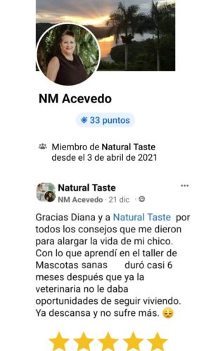 Curso Online Mascotas Sanas