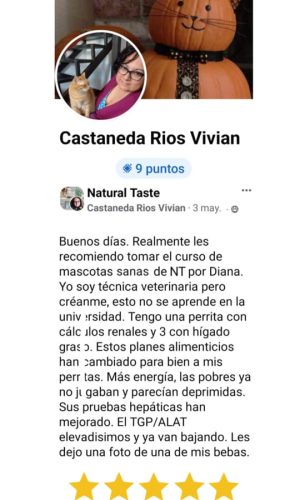 Curso Online Mascotas Sanas