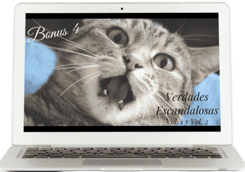 Bono 4 Curso Pastelería Canina y Felina