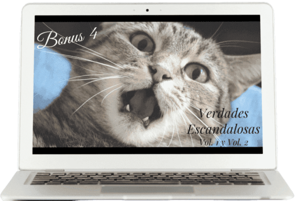 Bono 4 Curso Pastelería Canina y Felina
