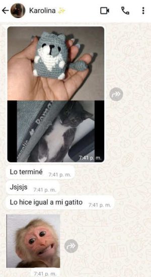 Testimonios Ebook + 80 Patrones de Mascotas (3)